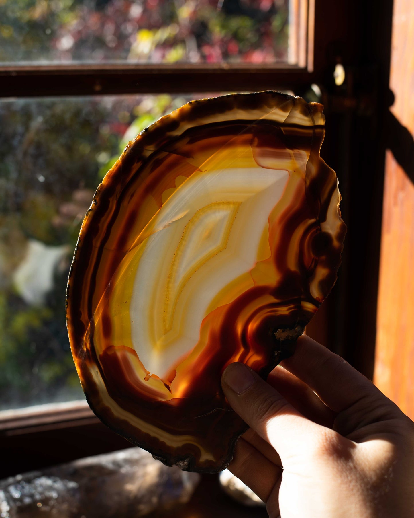 Natural Agate Slice