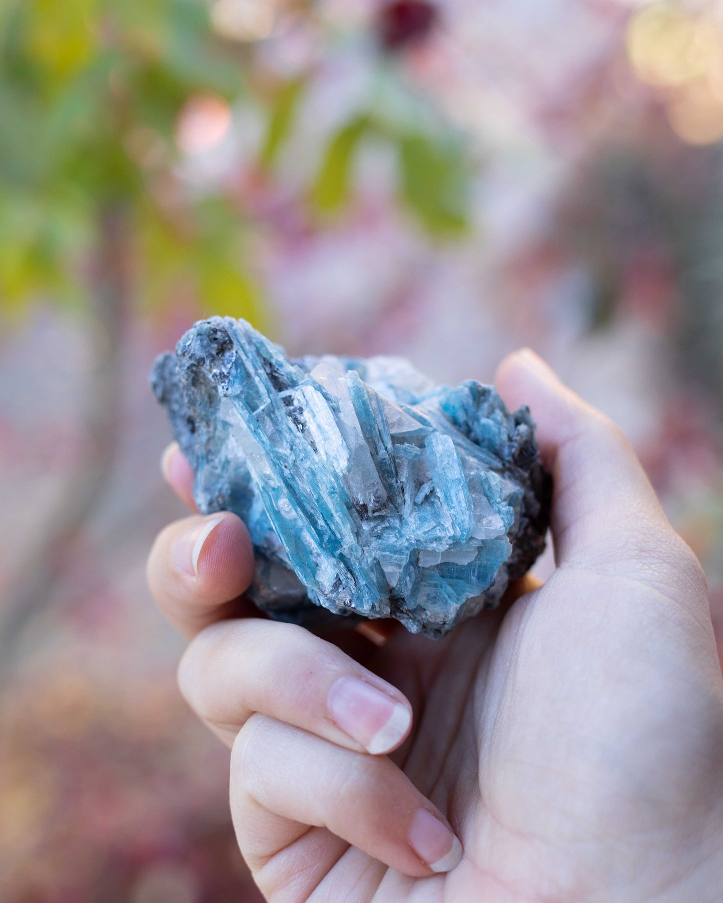 Raw Blue Kyanite