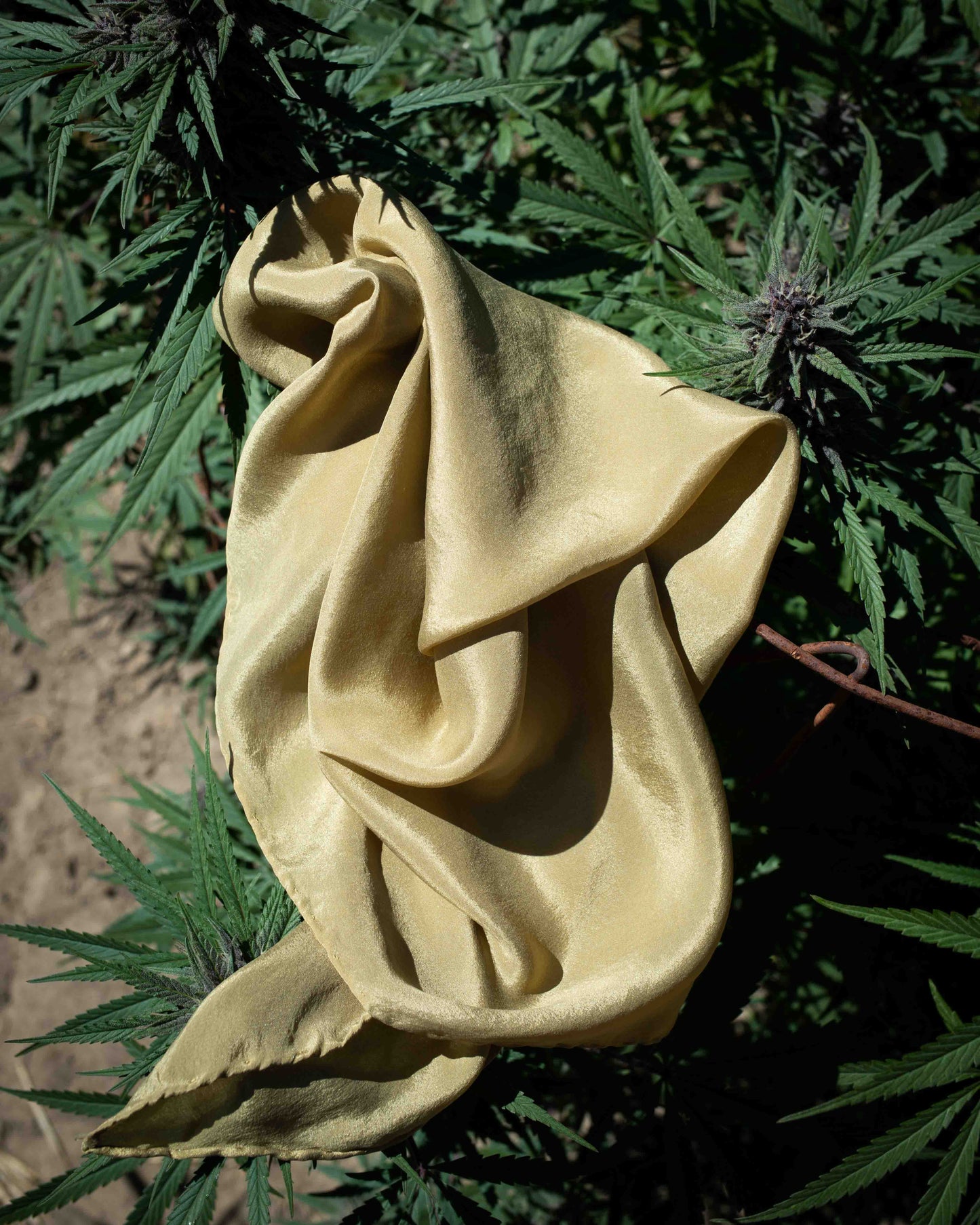 Canna Silk Scarf (one of kind - ready to ship)