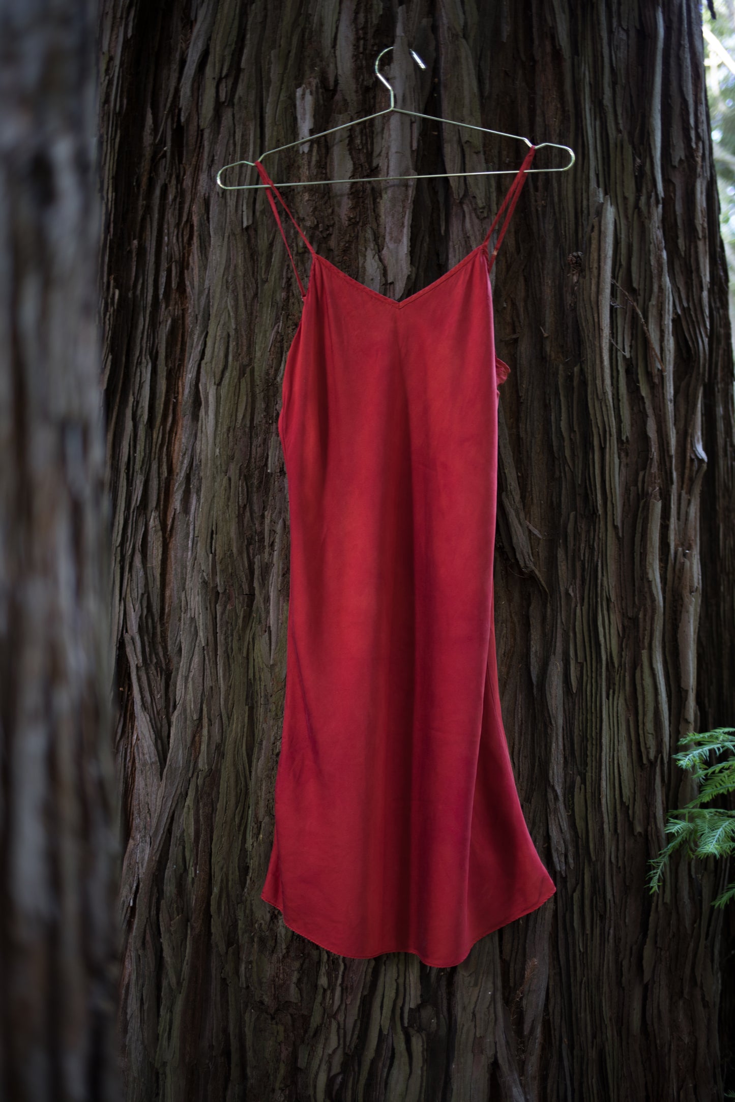 Madder Charmeuse Silk Slip- PREORDER