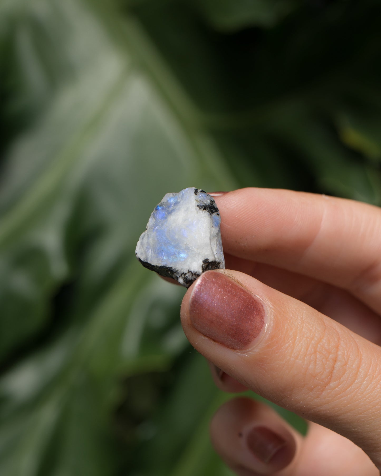 High Quality Raw Moonstone