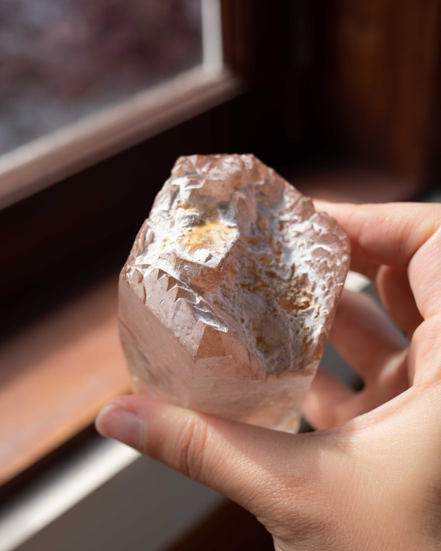 Pink Lemurian with Record Keepers