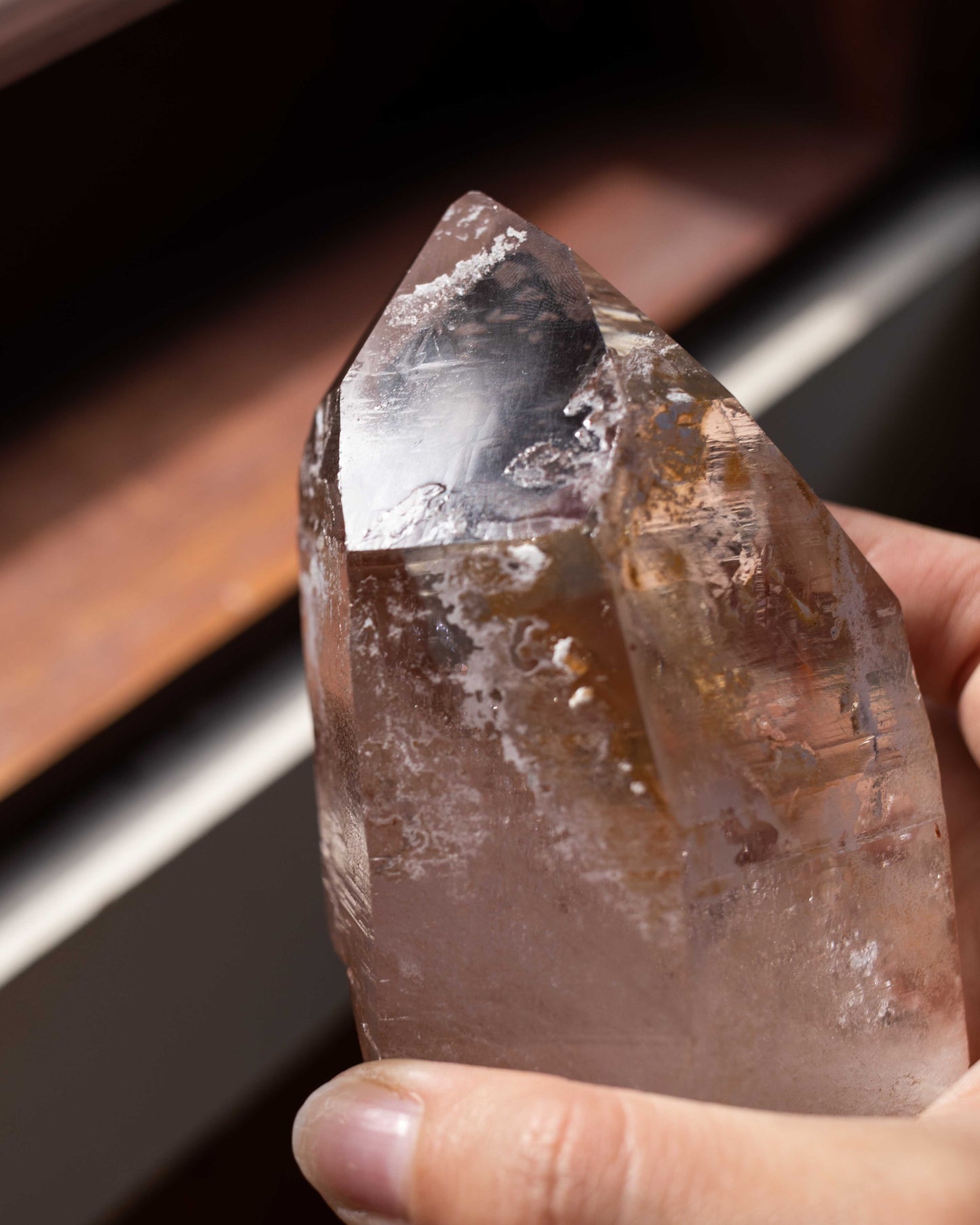 Pink Lemurian with Record Keepers