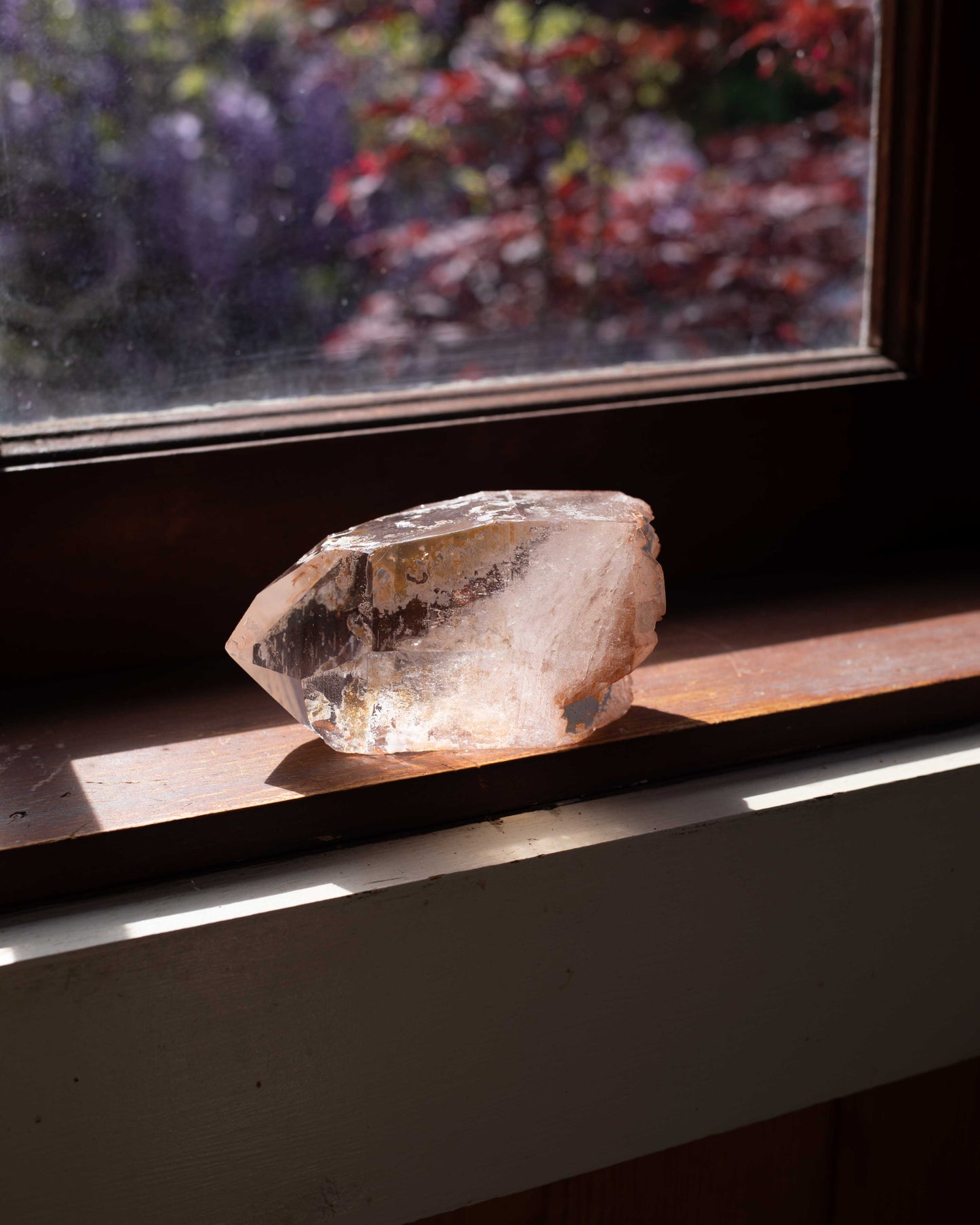 Pink Lemurian with Record Keepers
