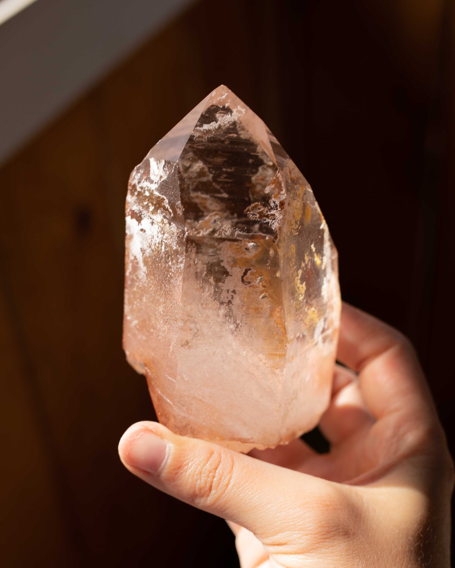 Pink Lemurian with Record Keepers