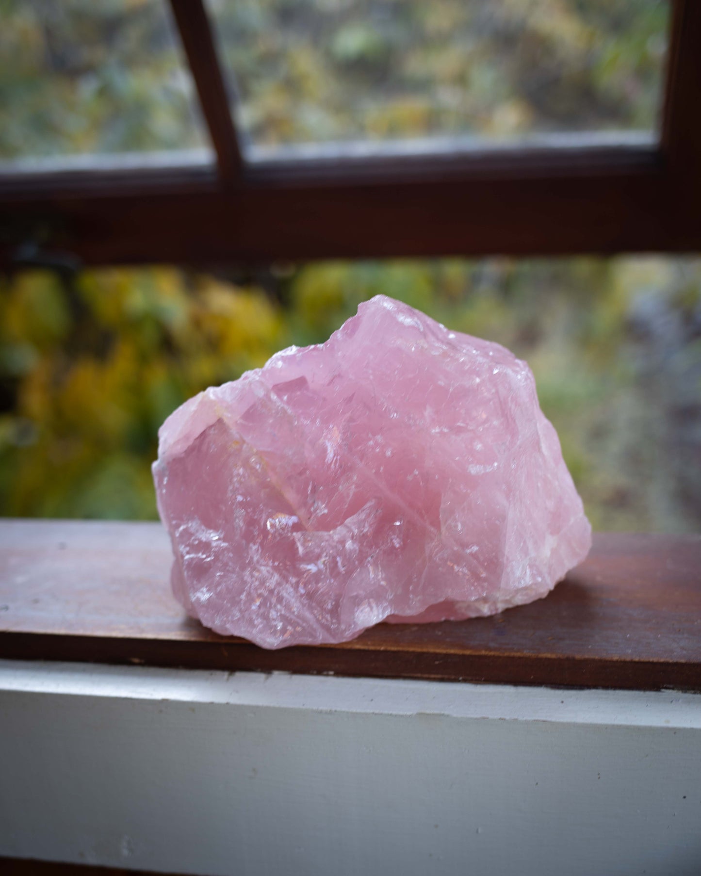 5+ lb XXL Raw Rose Quartz