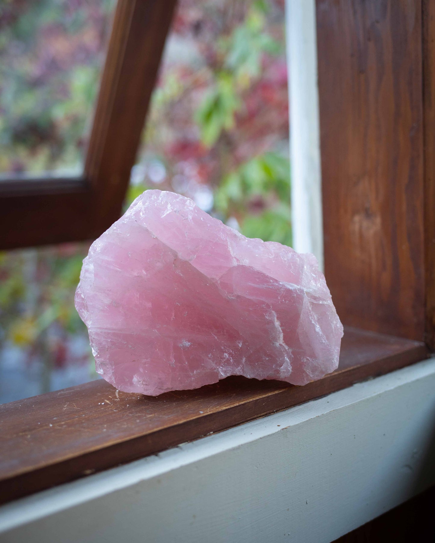 5+ lb XXL Raw Rose Quartz