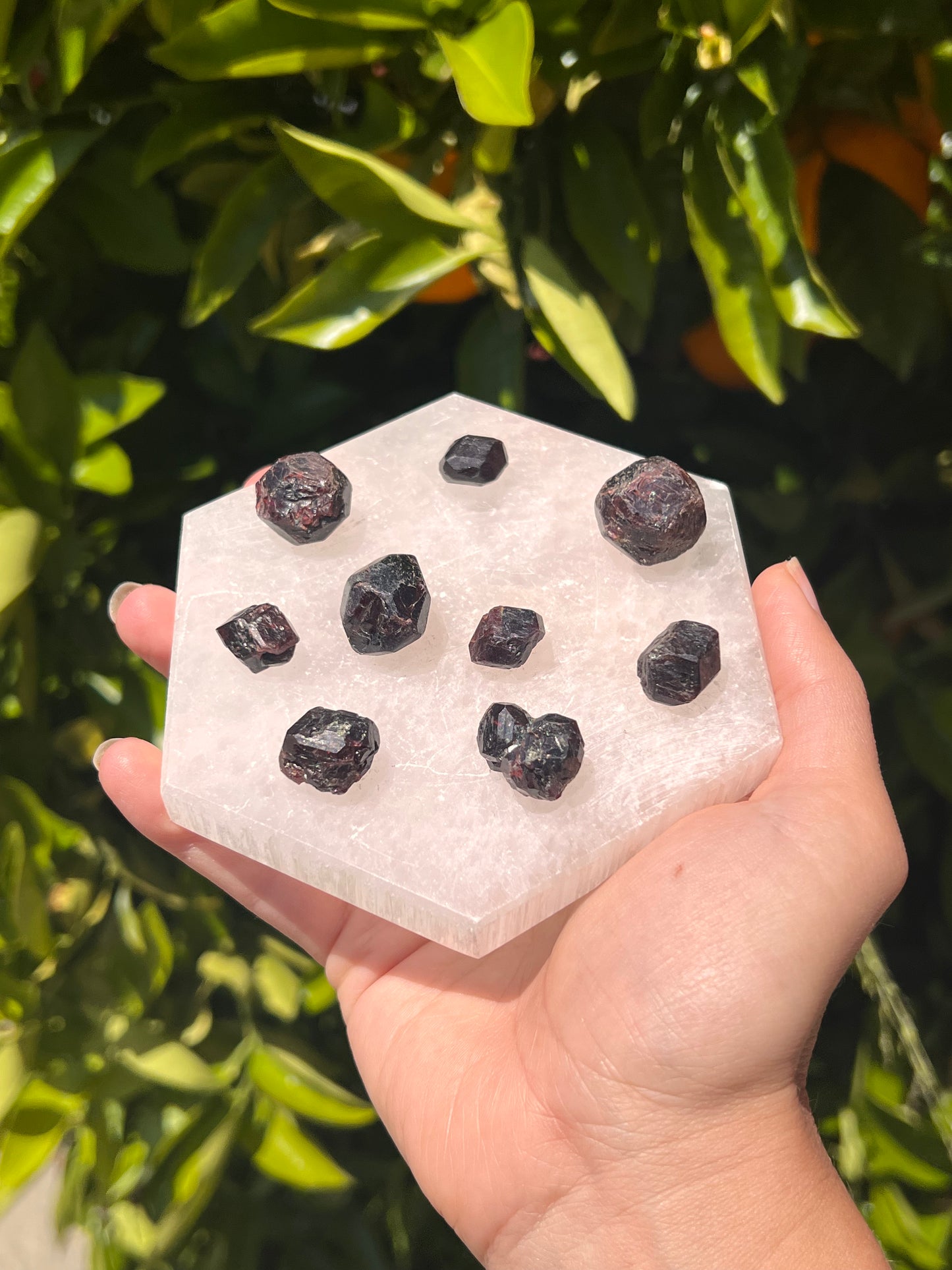 California Garnet