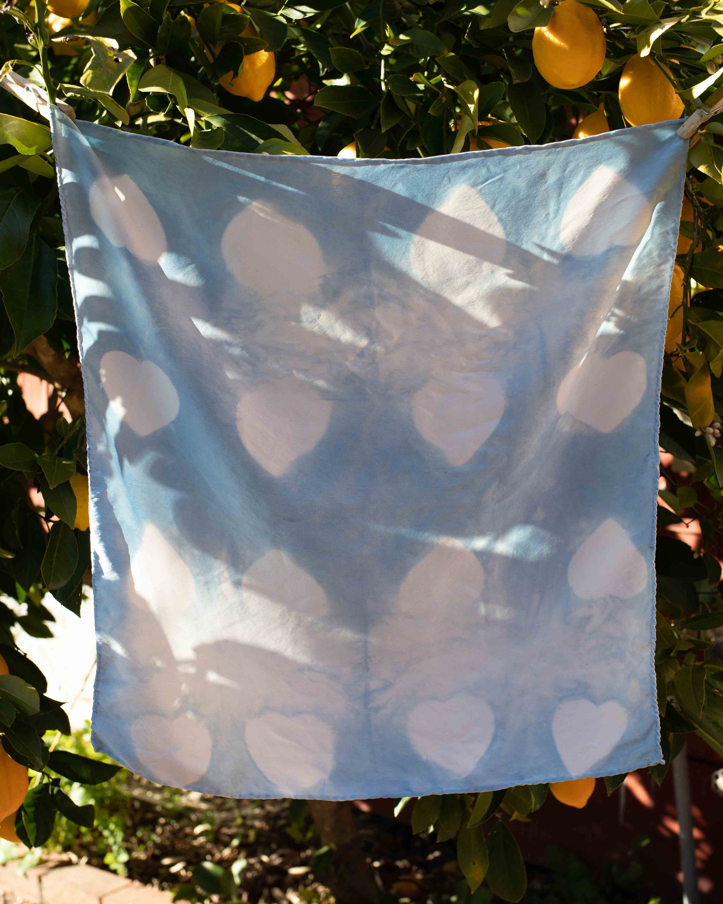 Indigo Hearts Charmeuse Silk Scarf - A