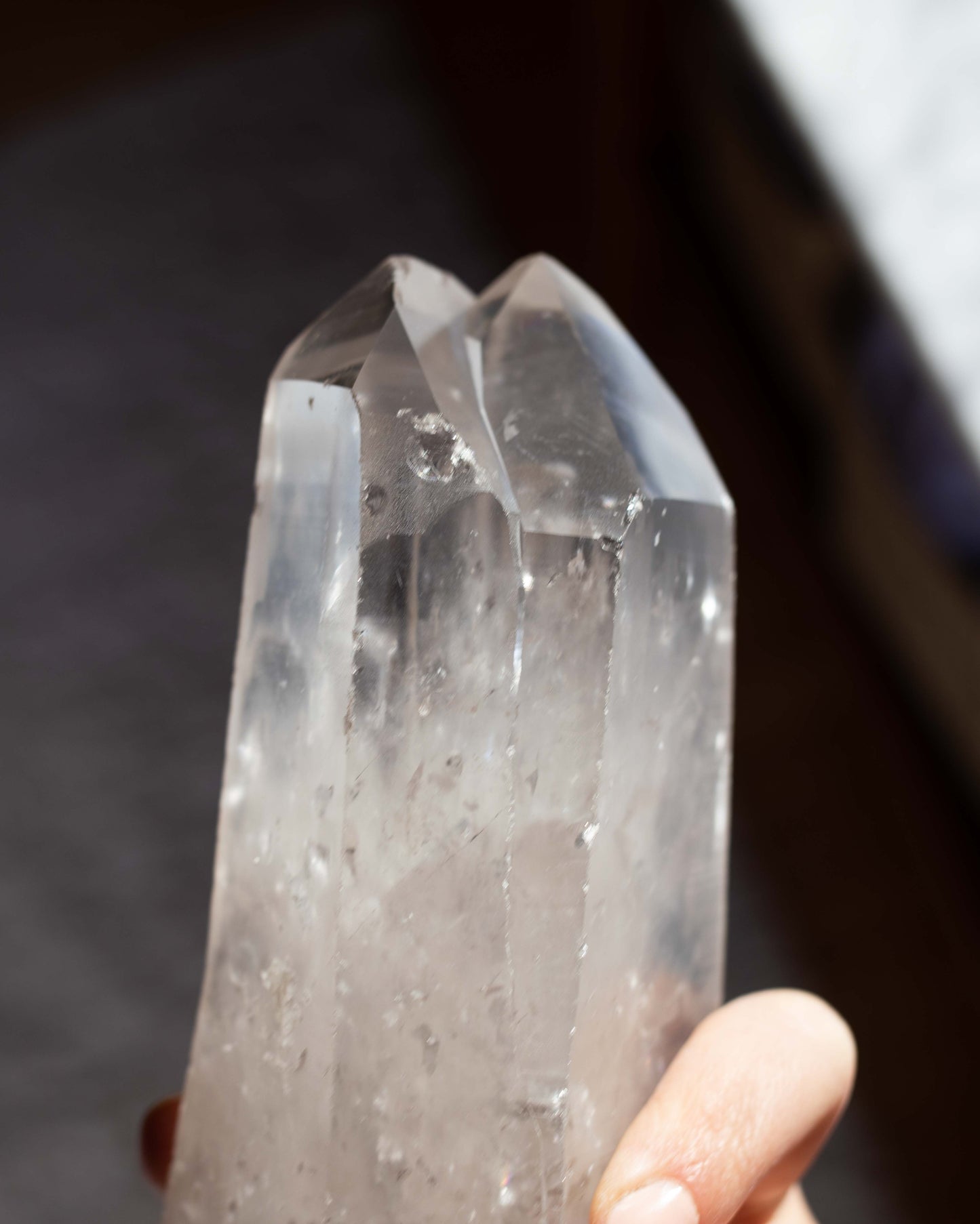 XL Bent Twin Lemurian