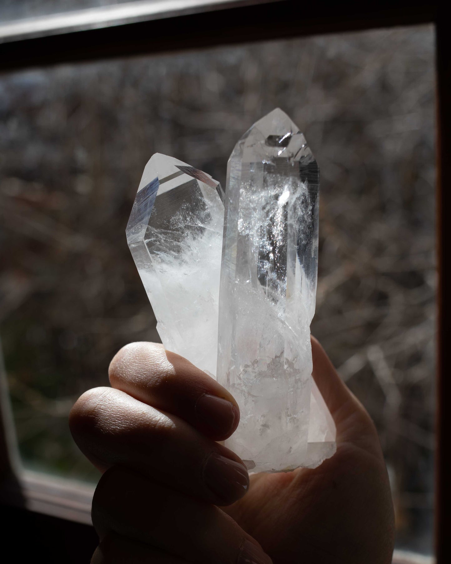 Colombian Lemurian A