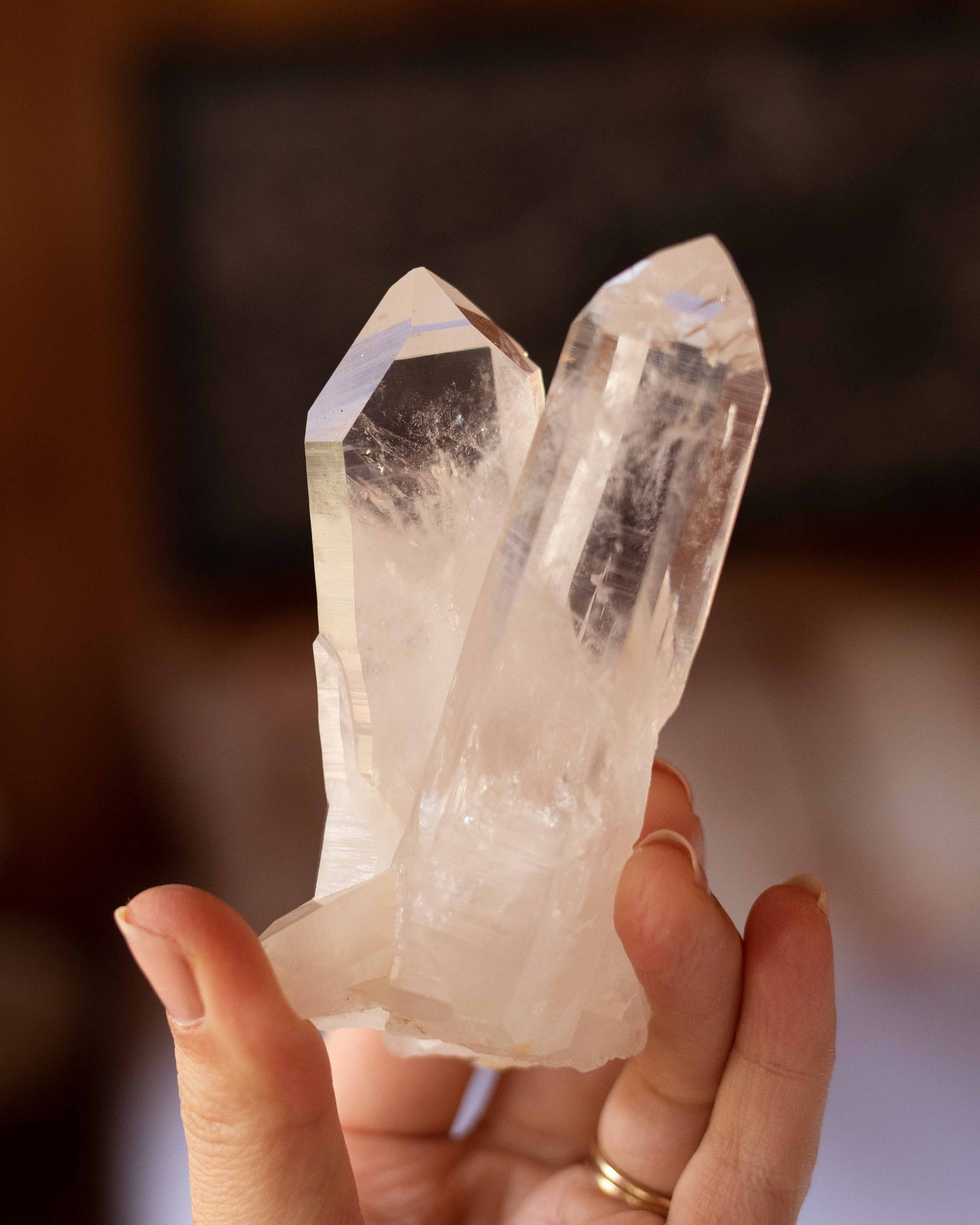 Colombian Lemurian A