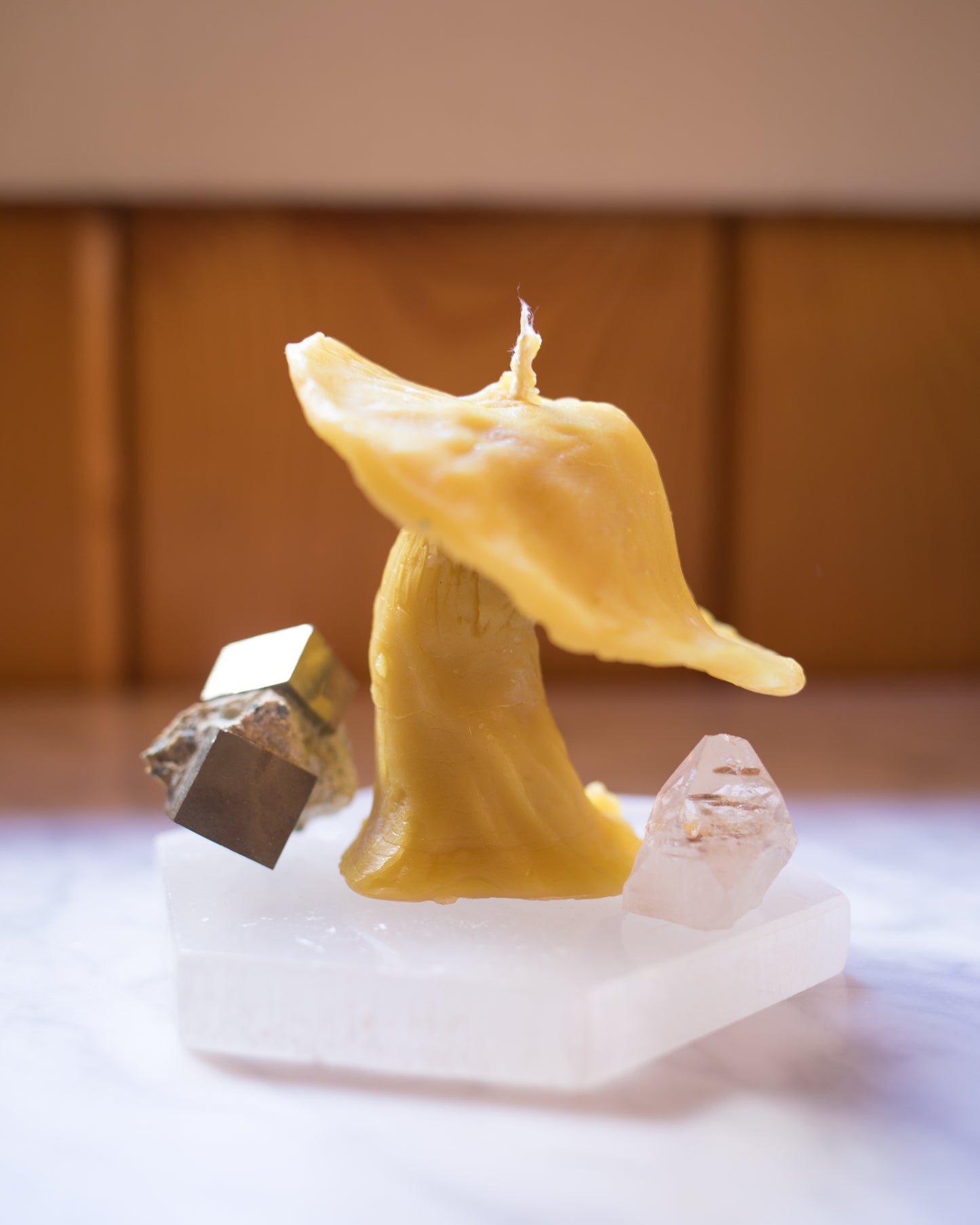 Beeswax Mushroom Candle
