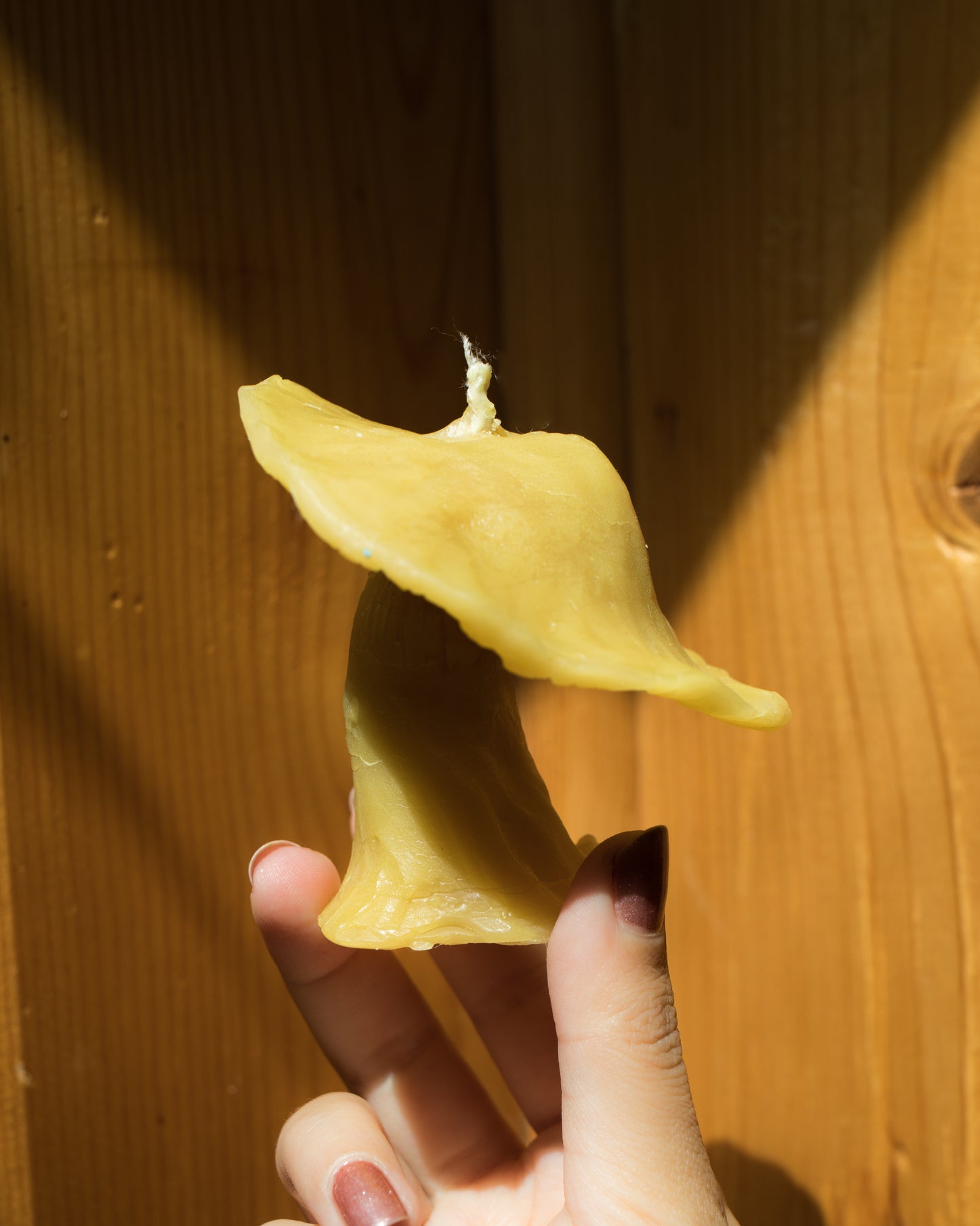 Beeswax Mushroom Candle