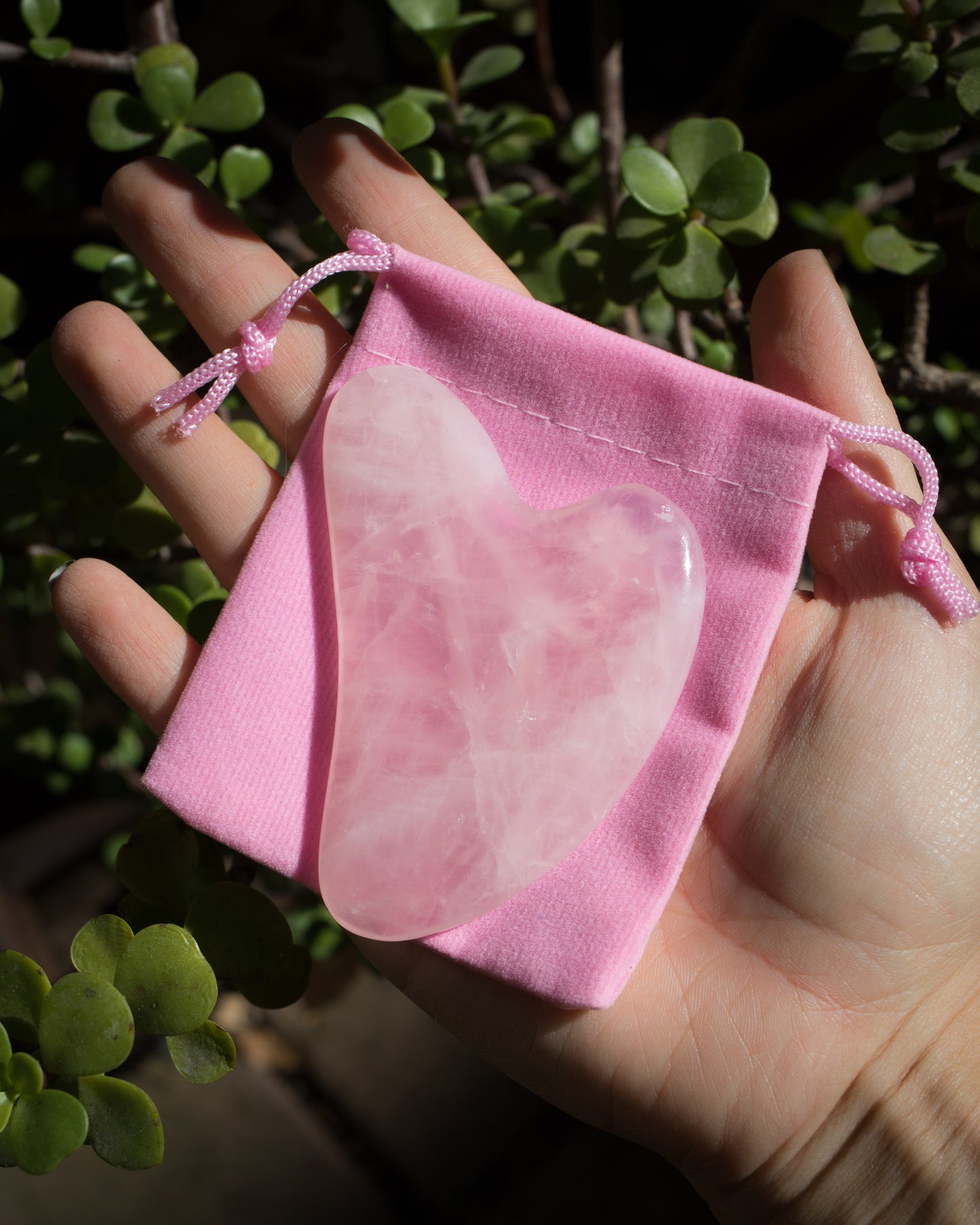 Rose Quartz Gua Sha