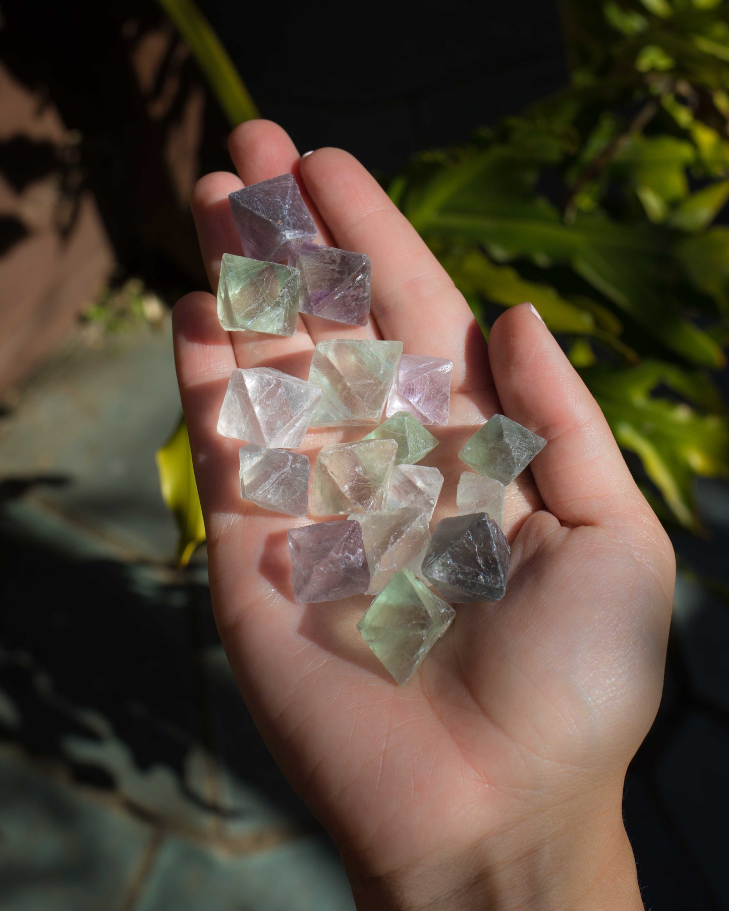 Fluorite Octahedron (single cube)