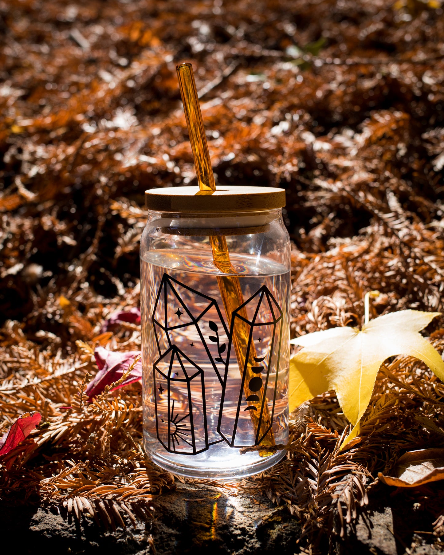 Colorful Glass Straws (5 pack)