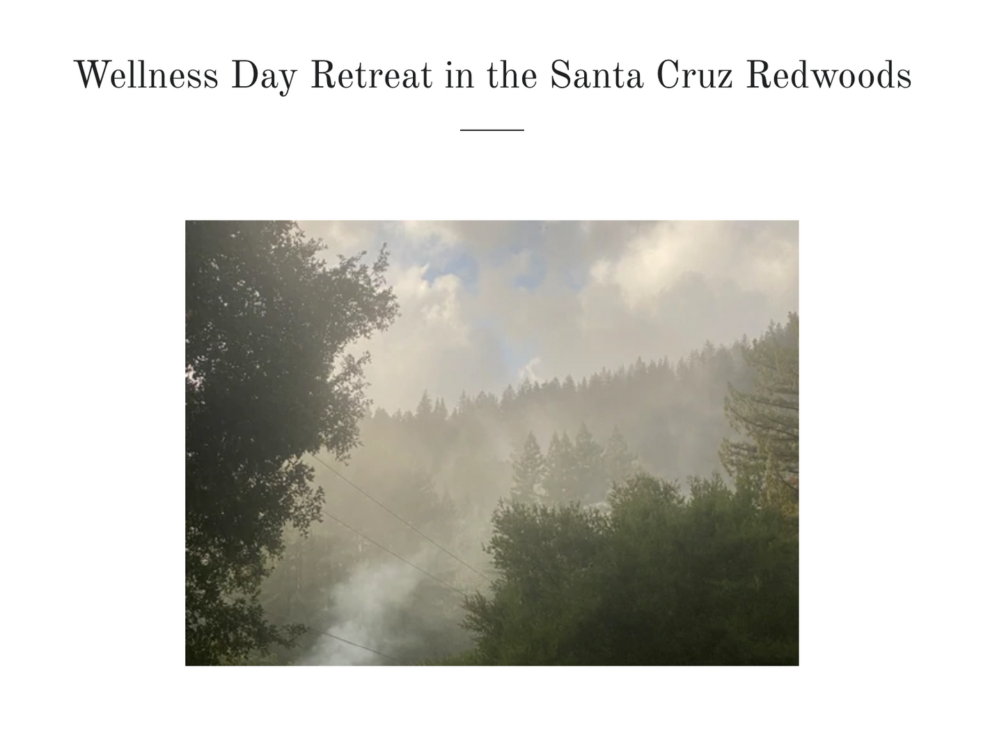 WELLNESS DAY RETREAT