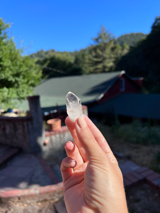 Arkansas Clear Quartz Crystal - self mined - L