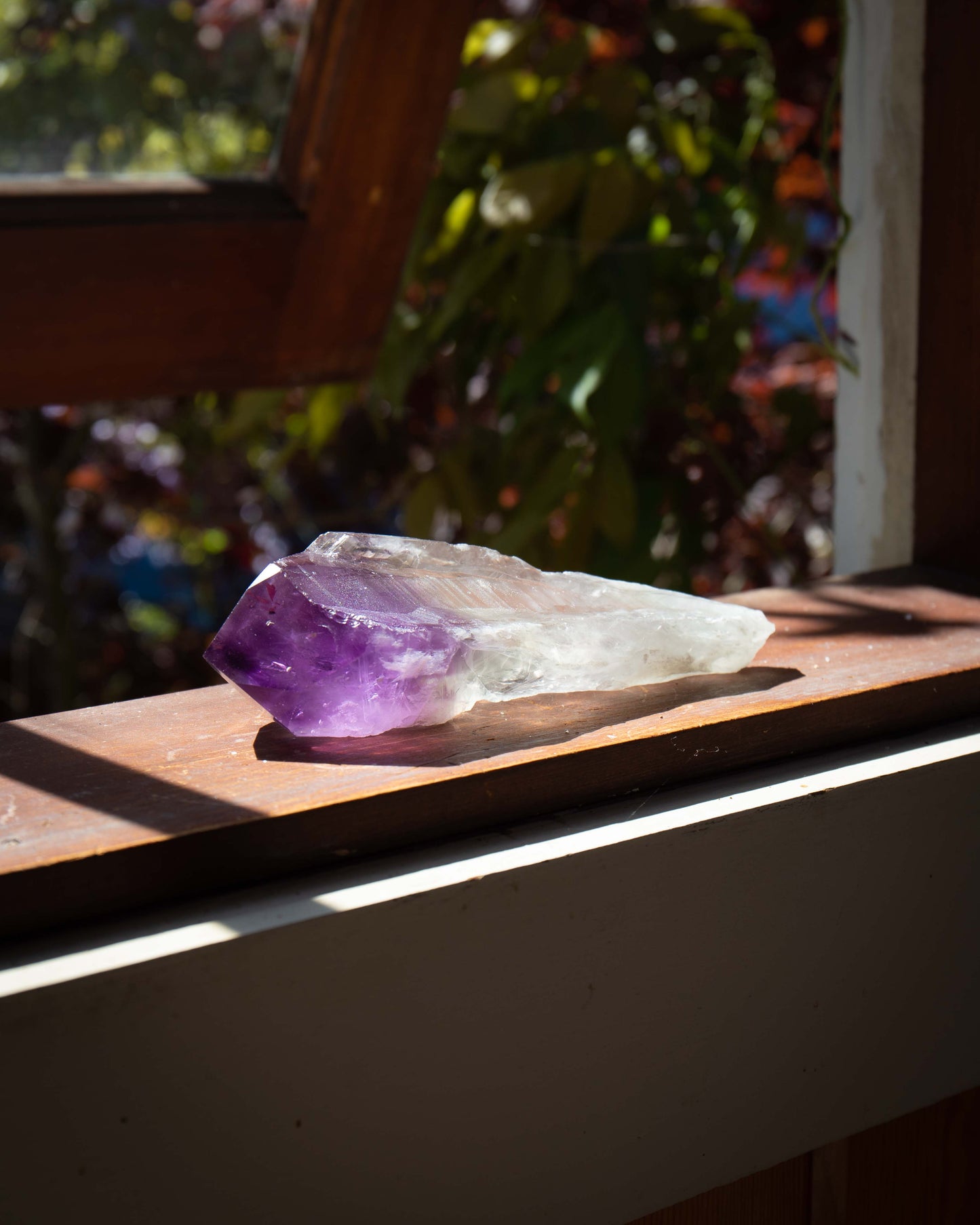 Large Bahia Amethyst Root