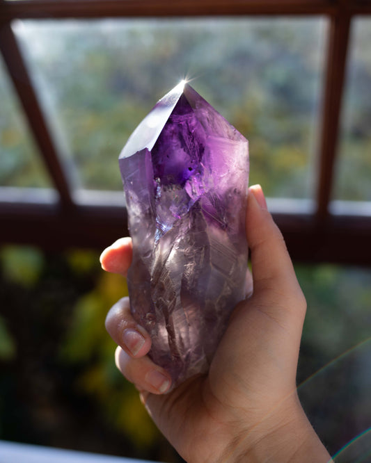 Large Bahia Amethyst Root with Phantoms