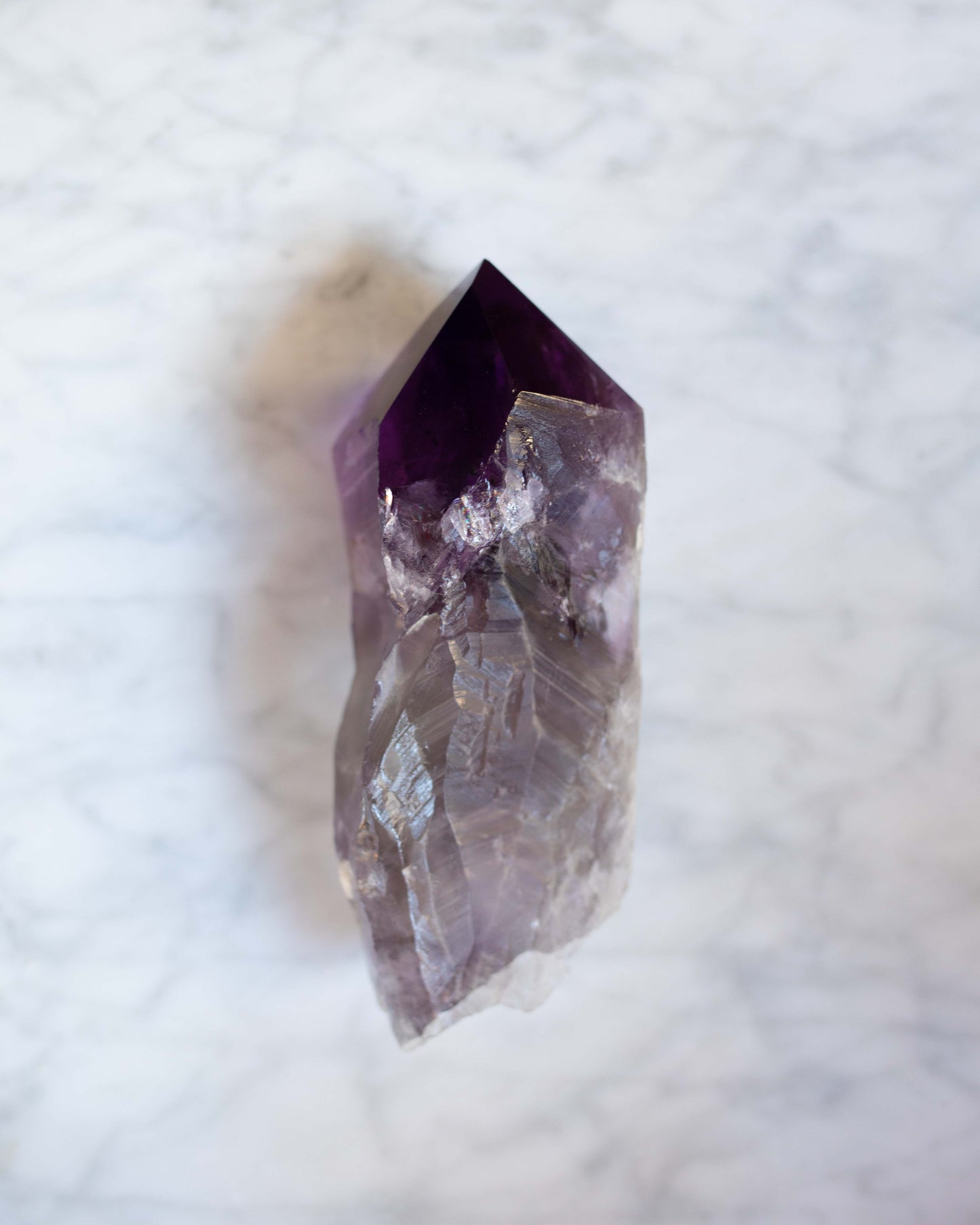 Large Bahia Amethyst Root with Phantoms