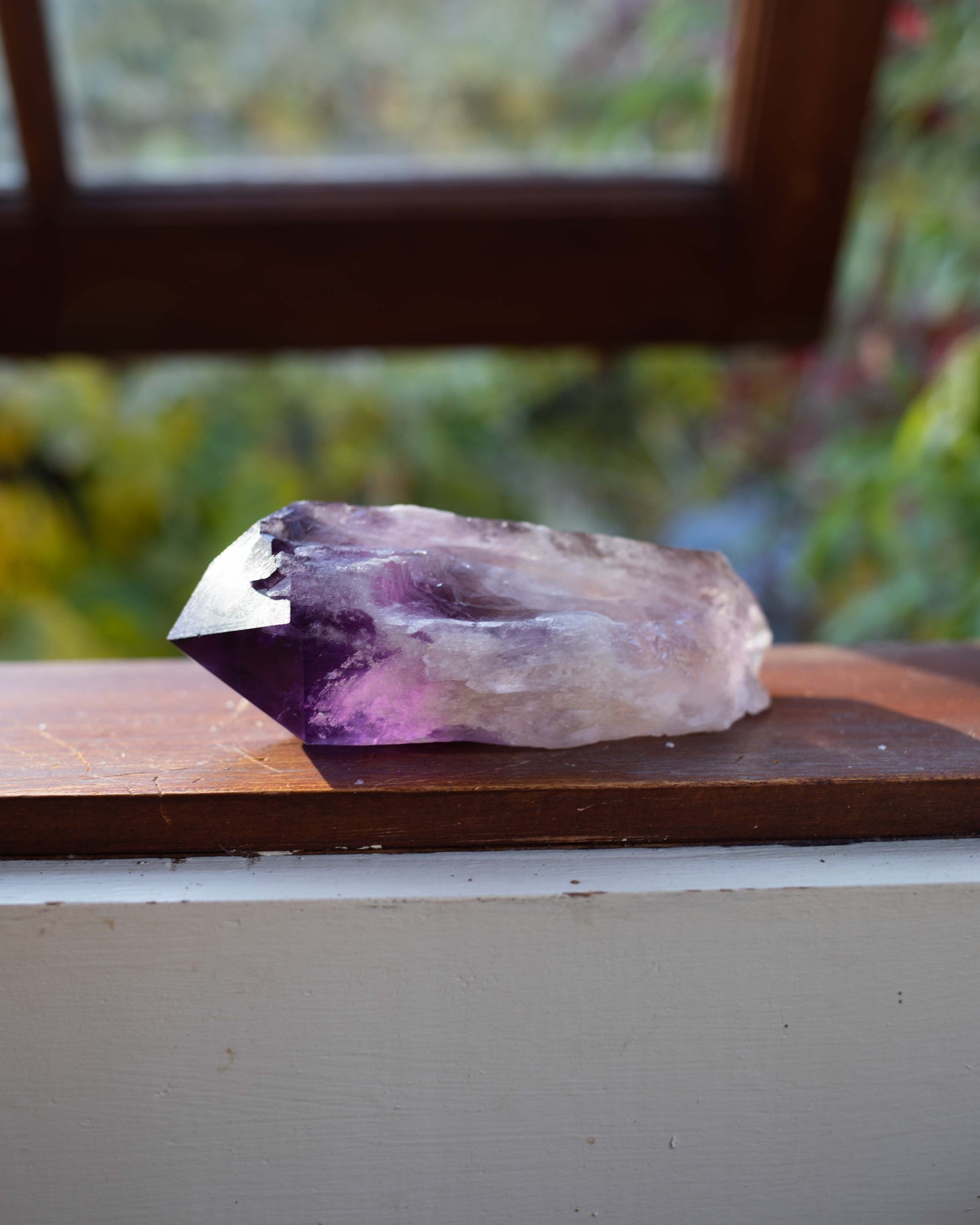 Large Bahia Amethyst Root with Phantoms