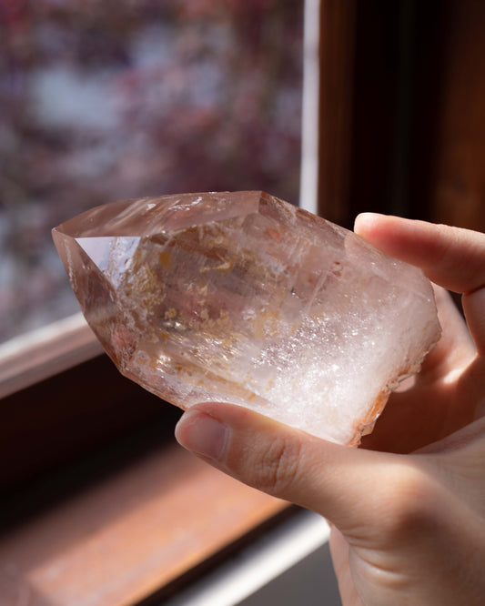 Pink Lemurian with Record Keepers