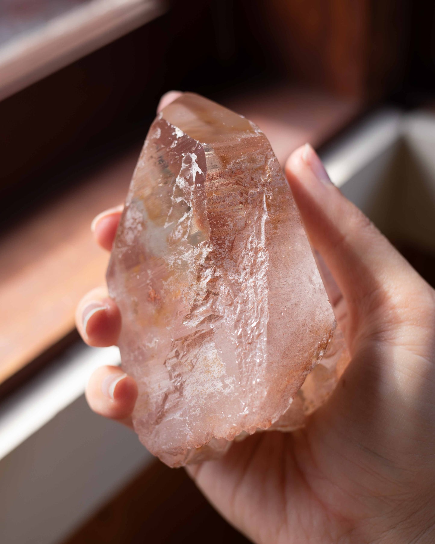 Pink Lemurian with Record Keepers
