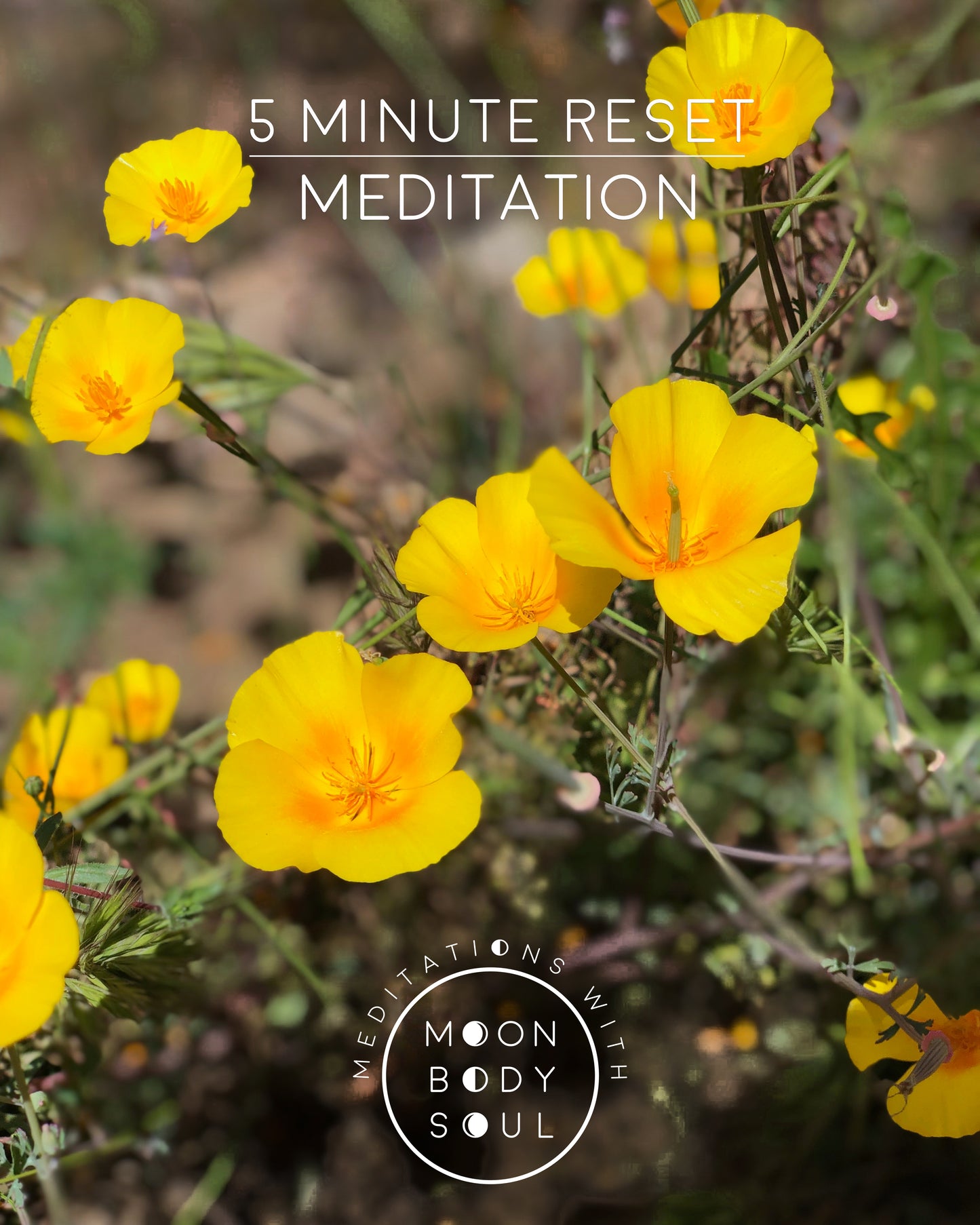 Five Minute Reset Meditation