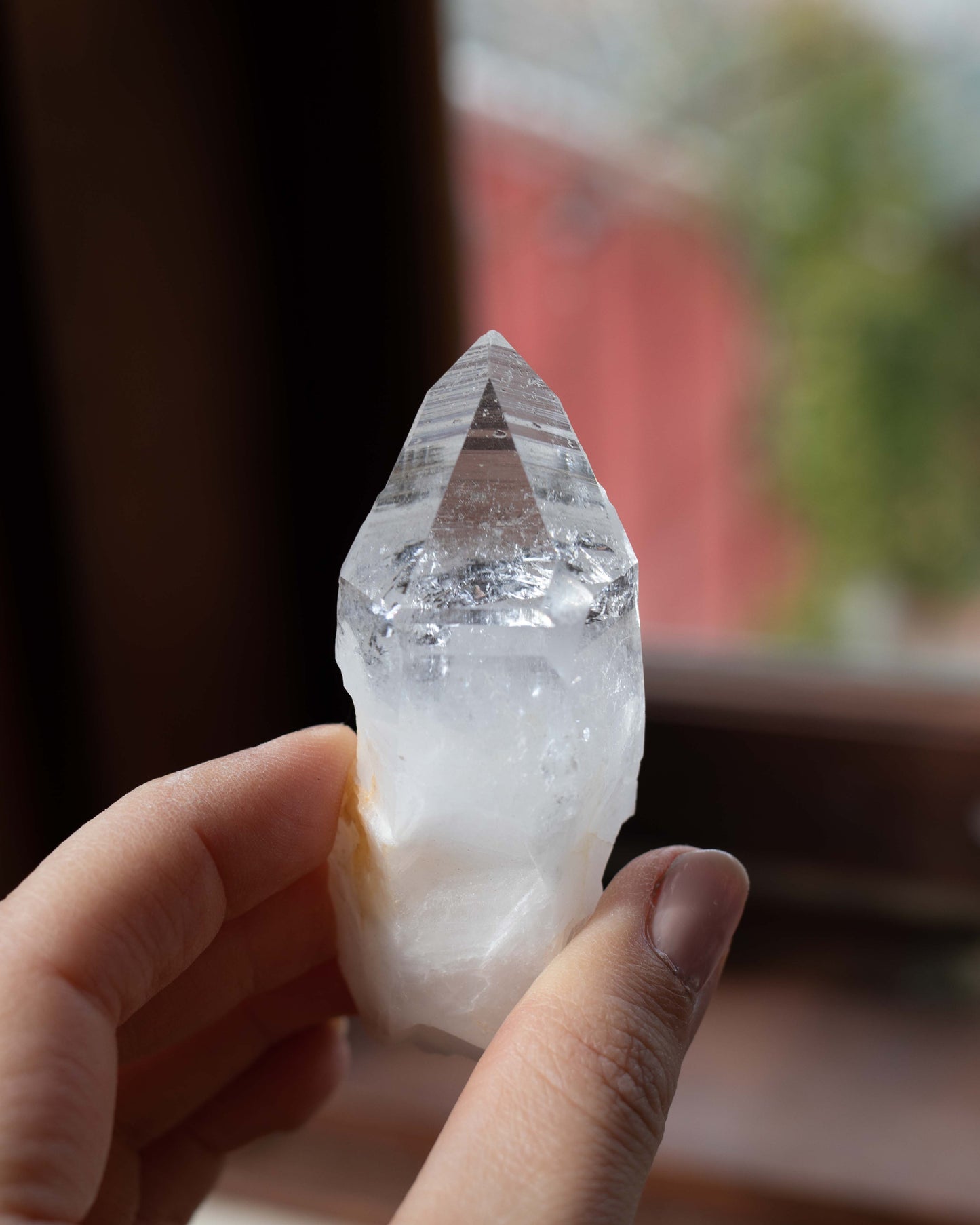 Colombian Lemurian C