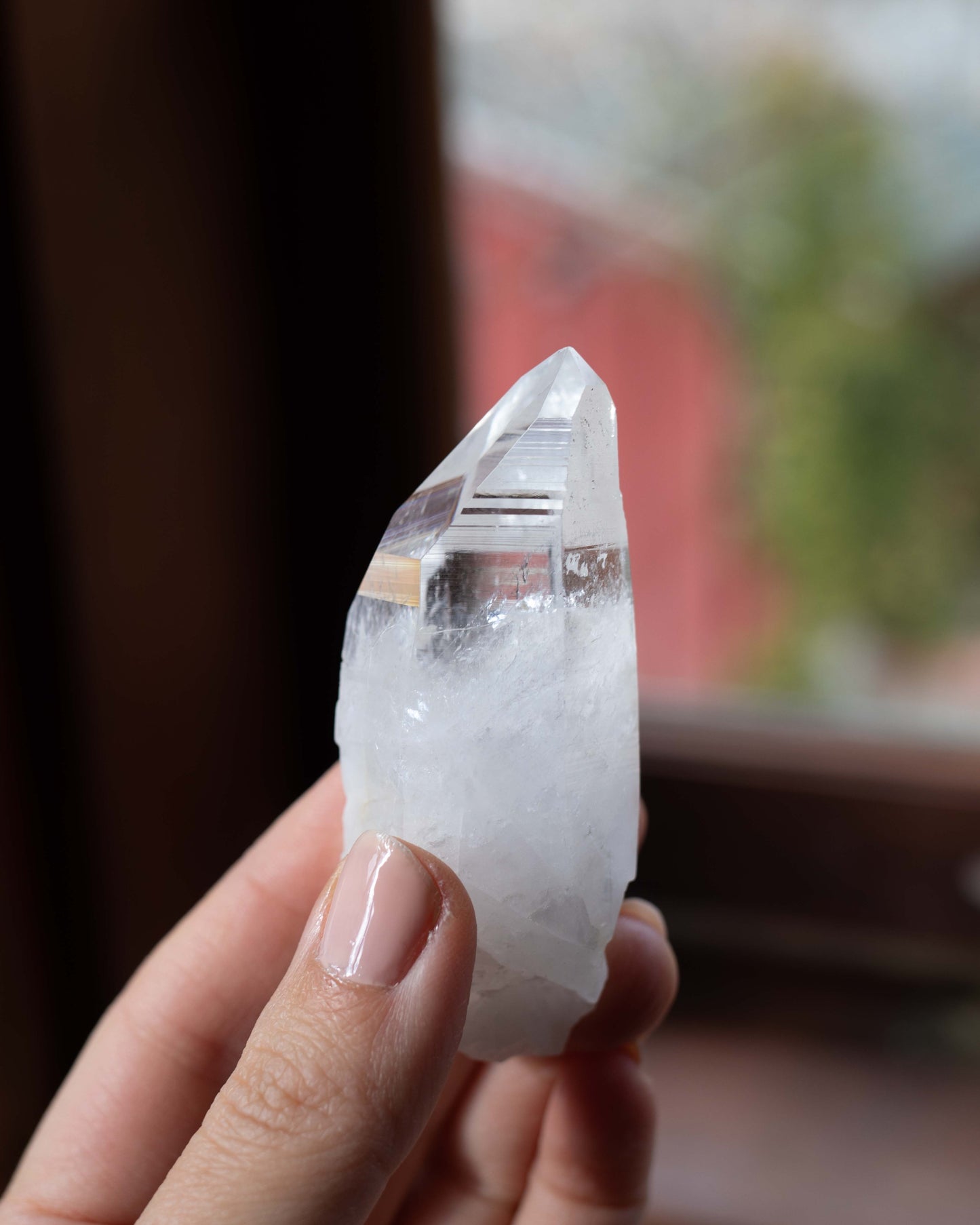 Colombian Lemurian C