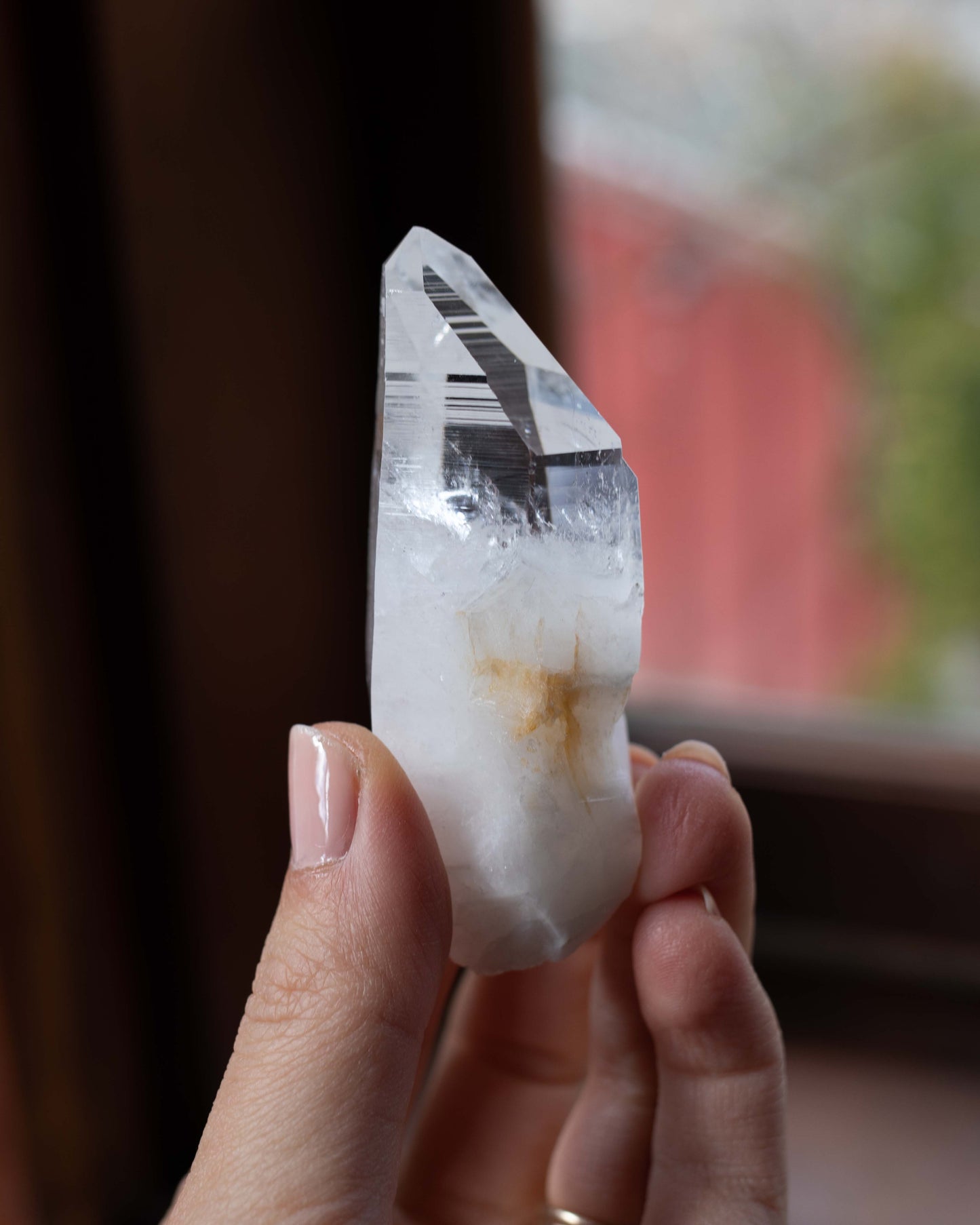 Colombian Lemurian C