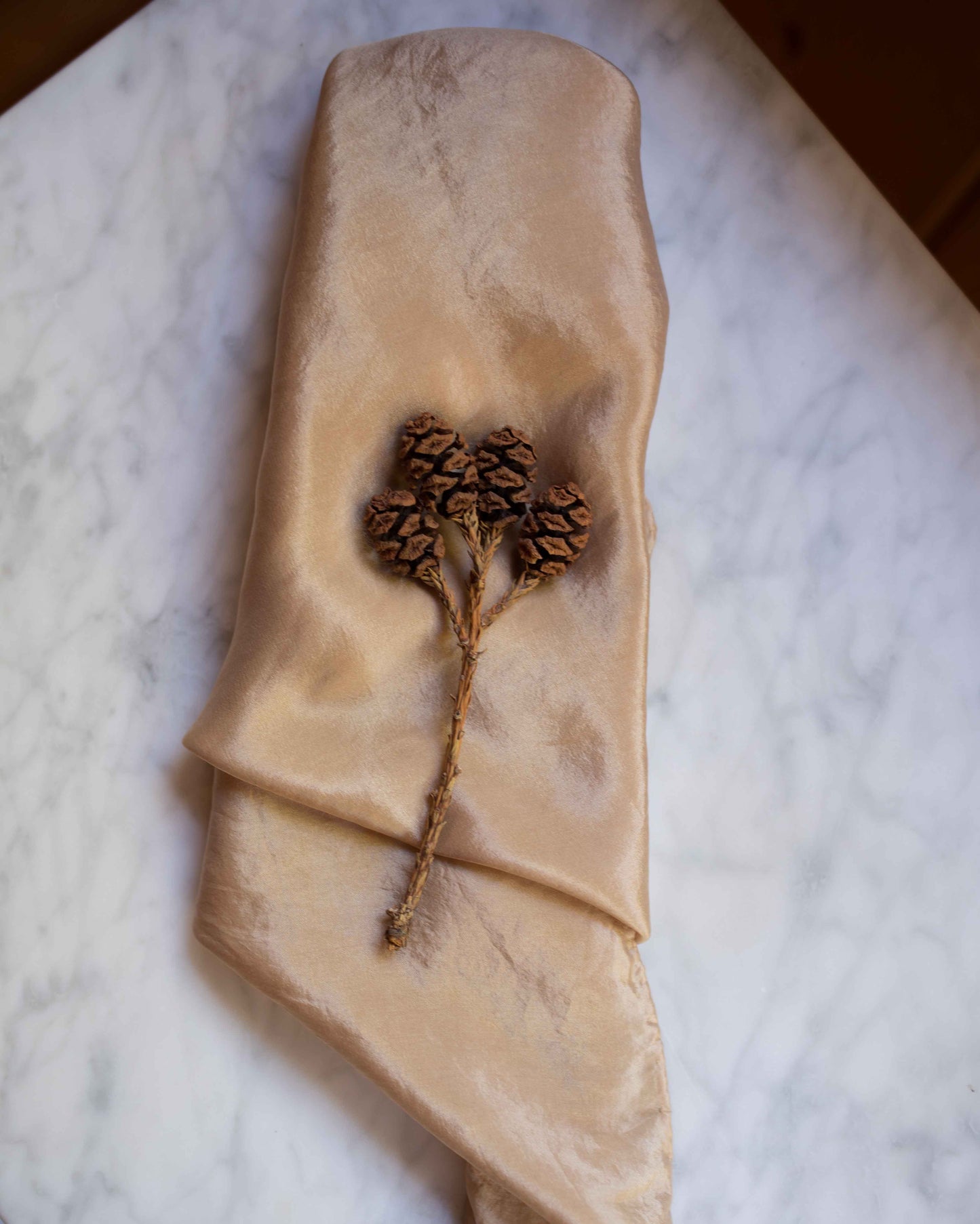 Redwood Silk Scarf - PREORDER