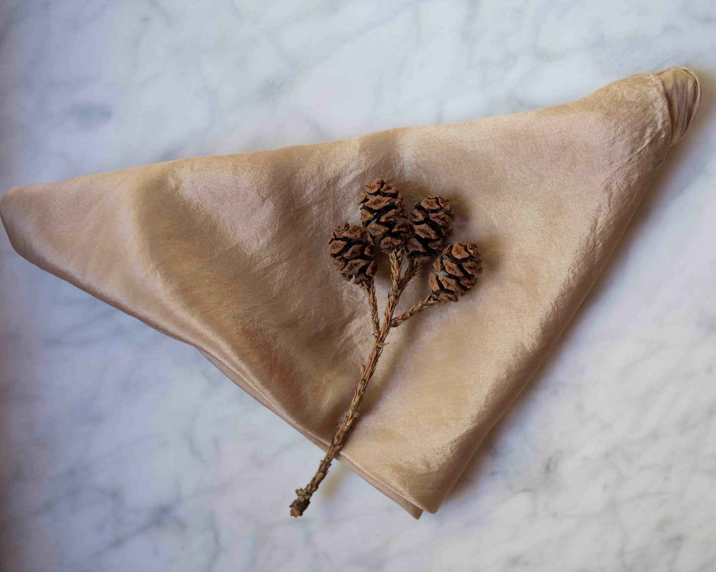 Redwood Silk Scarf - PREORDER