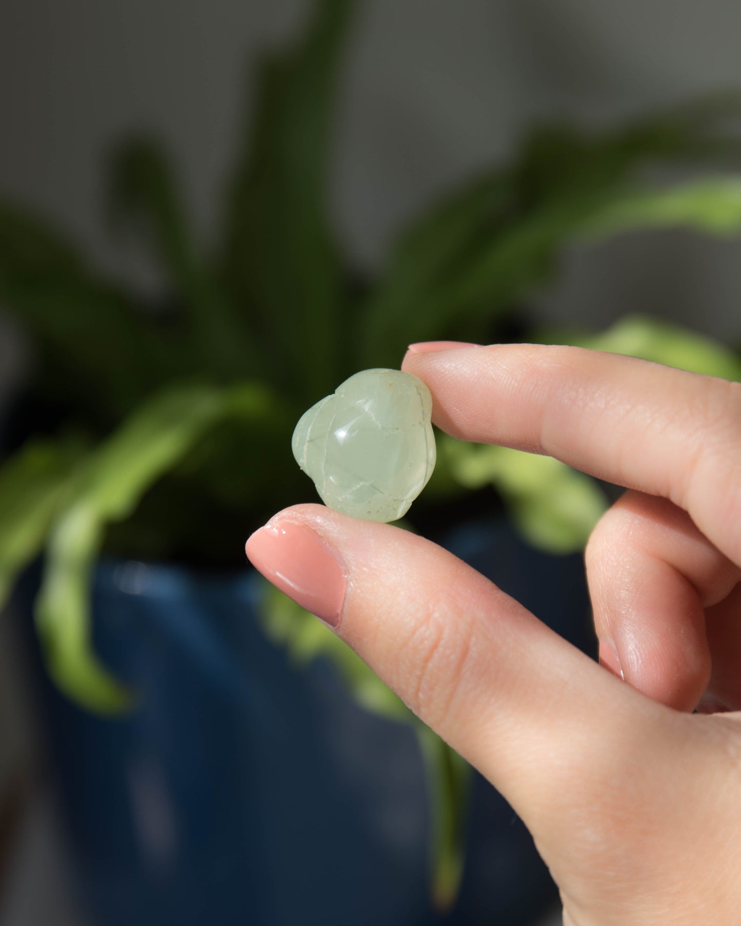 Small Prehnite