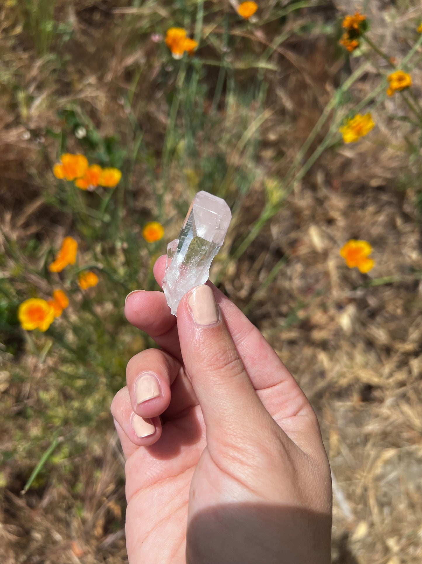 Arkansas Clear Quartz Crystal - self mined - Small Crystal Point