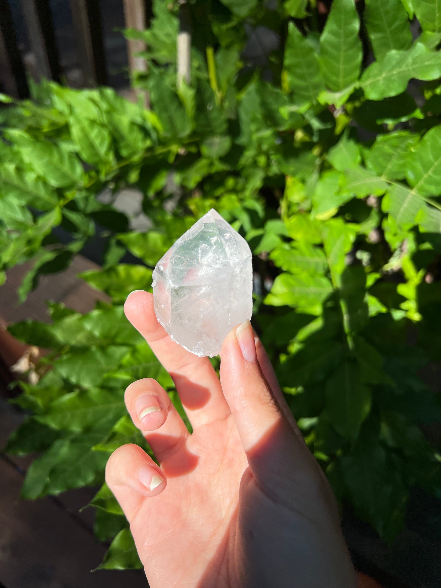 Arkansas Clear Quartz Crystal - self mined - A