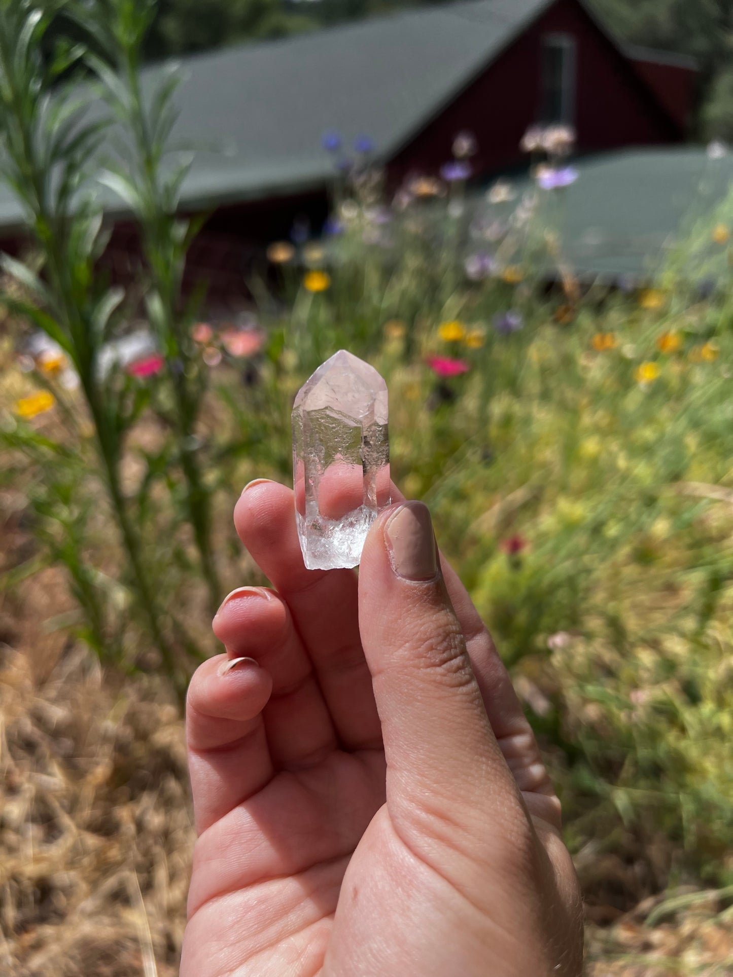 Arkansas Clear Quartz Crystal - self mined - Small Crystal Point